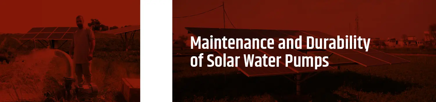 solar image