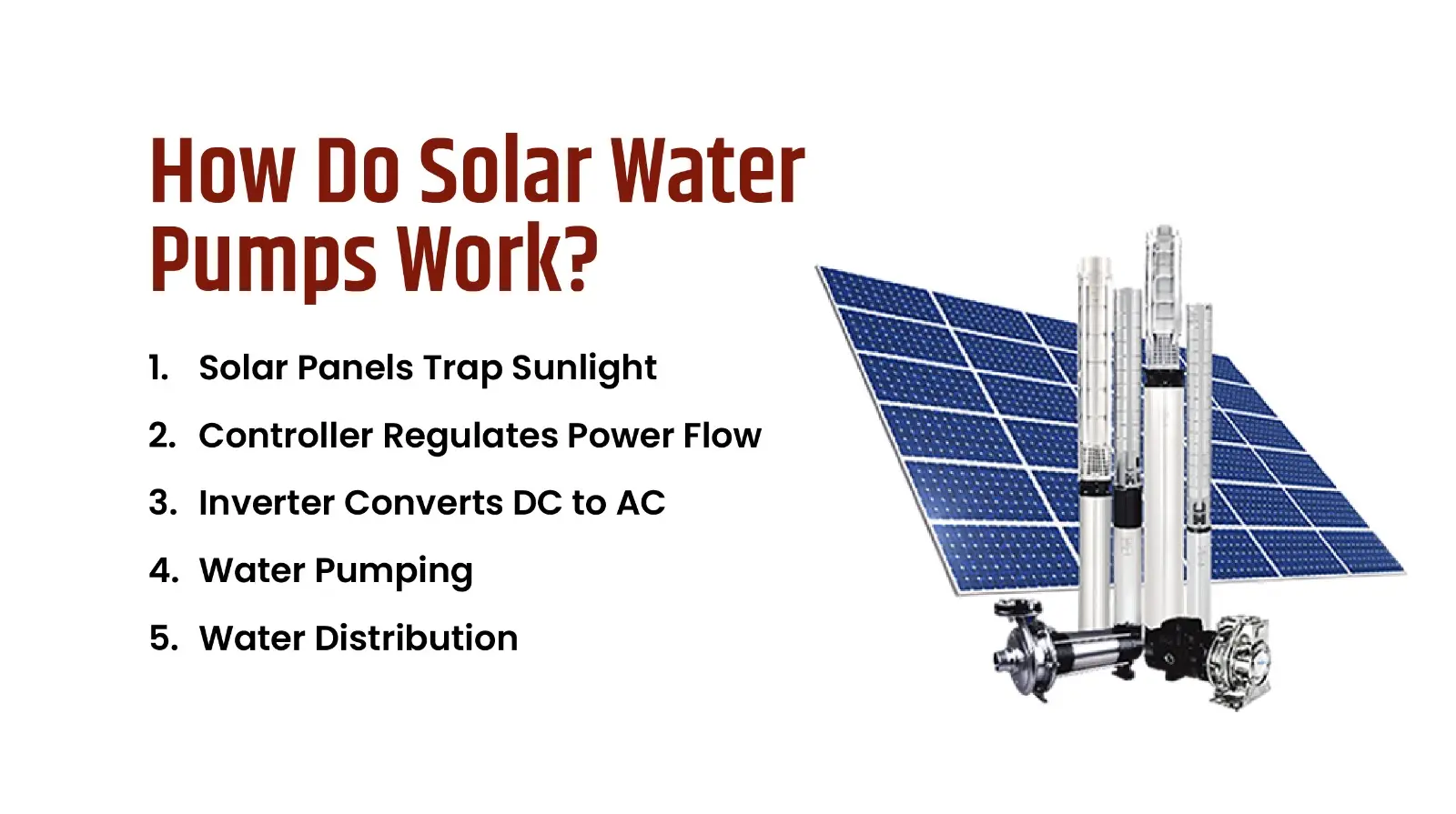 How Do Solar Water Pumps Work?