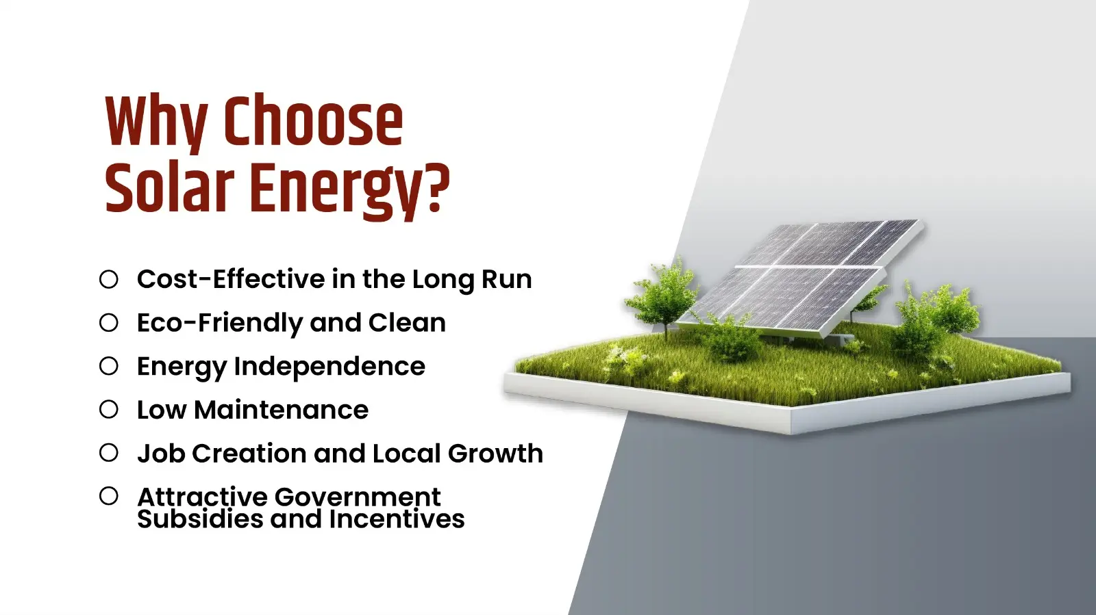 Why Choose Solar Energy? 